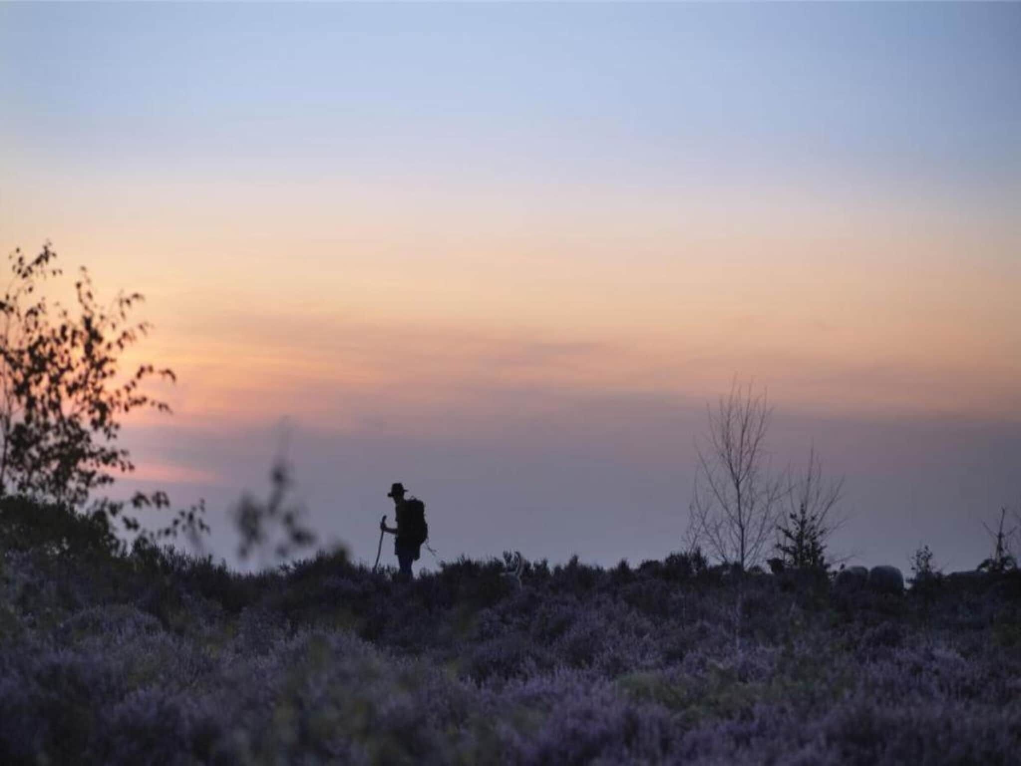 En person som vandrar i ett naturligt landskap med gles vegetation och klar himmel.