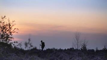 En person som vandrar i ett naturligt landskap med gles vegetation och klar himmel.