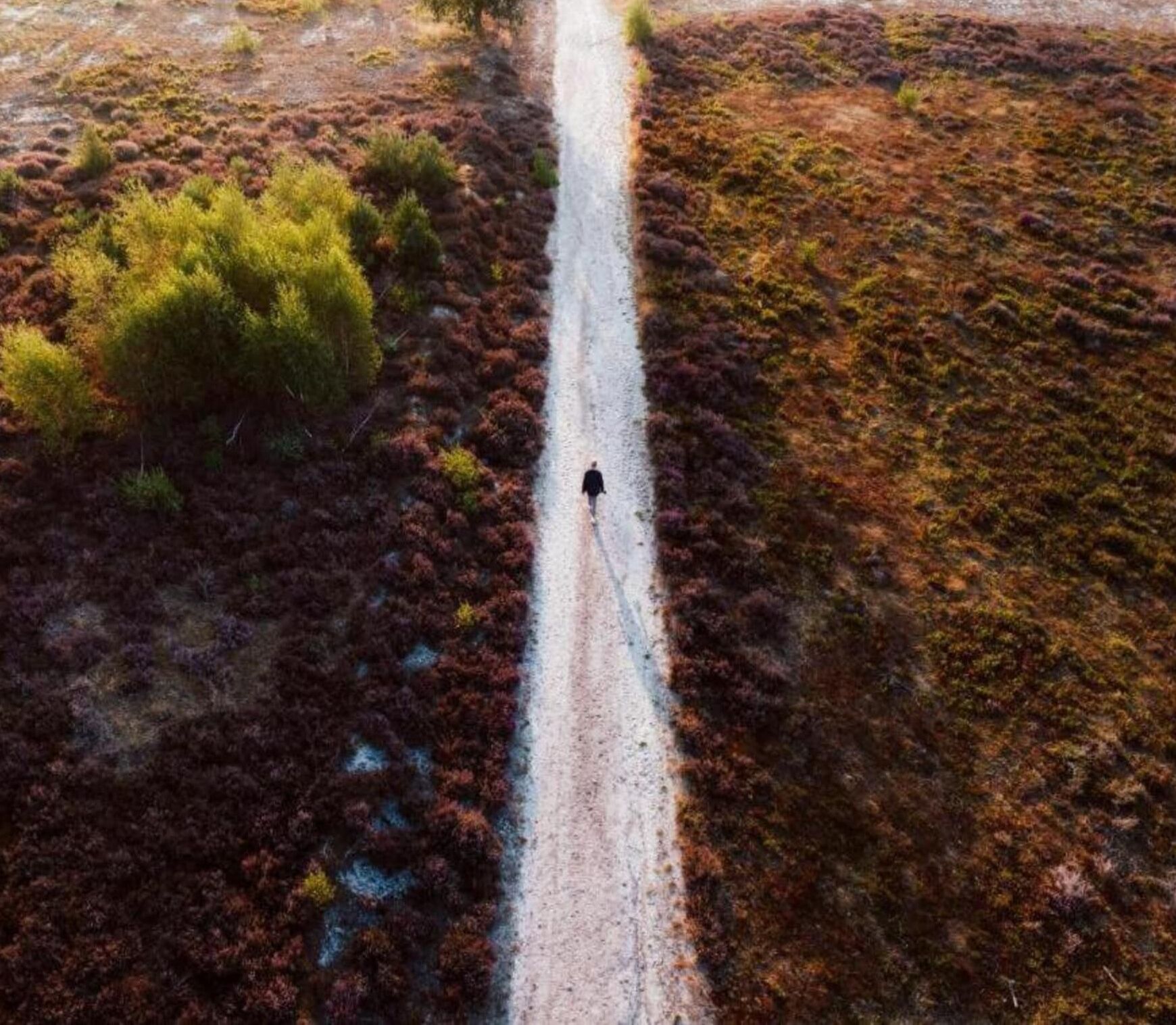 Eine Vogelperspektive auf einen schmalen Feldweg in einer natürlichen Landschaft mit spärlicher Vegetation.