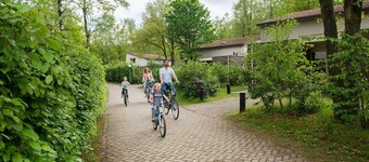Modern Villa Near Veluwe