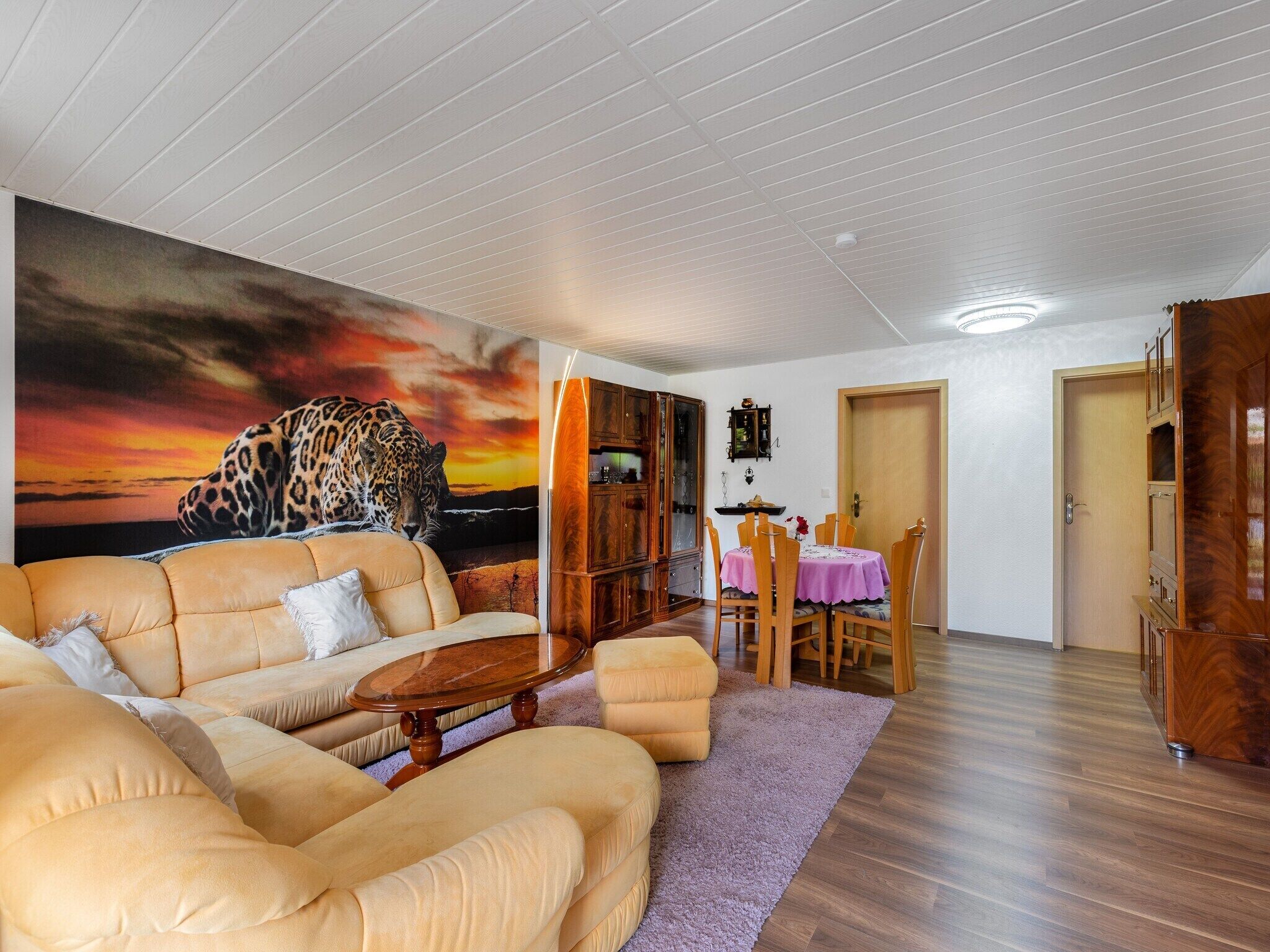 Fernseher, DVD-Player