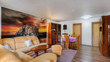 Fernseher, DVD-Player