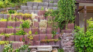 A stone wall with plants growing on it, a wooden bench, and a stone structure. - Ruhige Gartenwohnung in Dresden (Dresden)