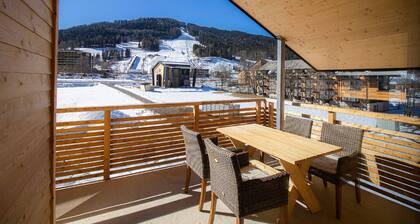 Pleasant apartment with sauna