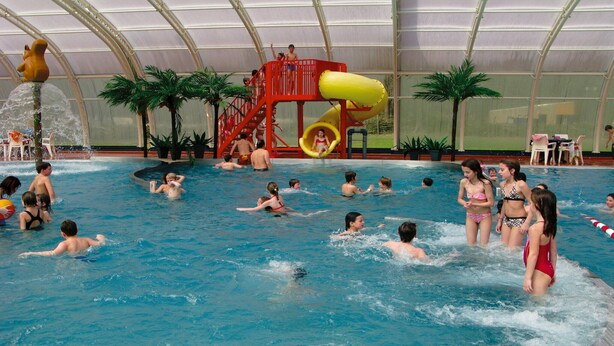 An indoor swimming pool with multiple water slides and palm trees. - Forest Hideaway with Fireplace (Herpen)