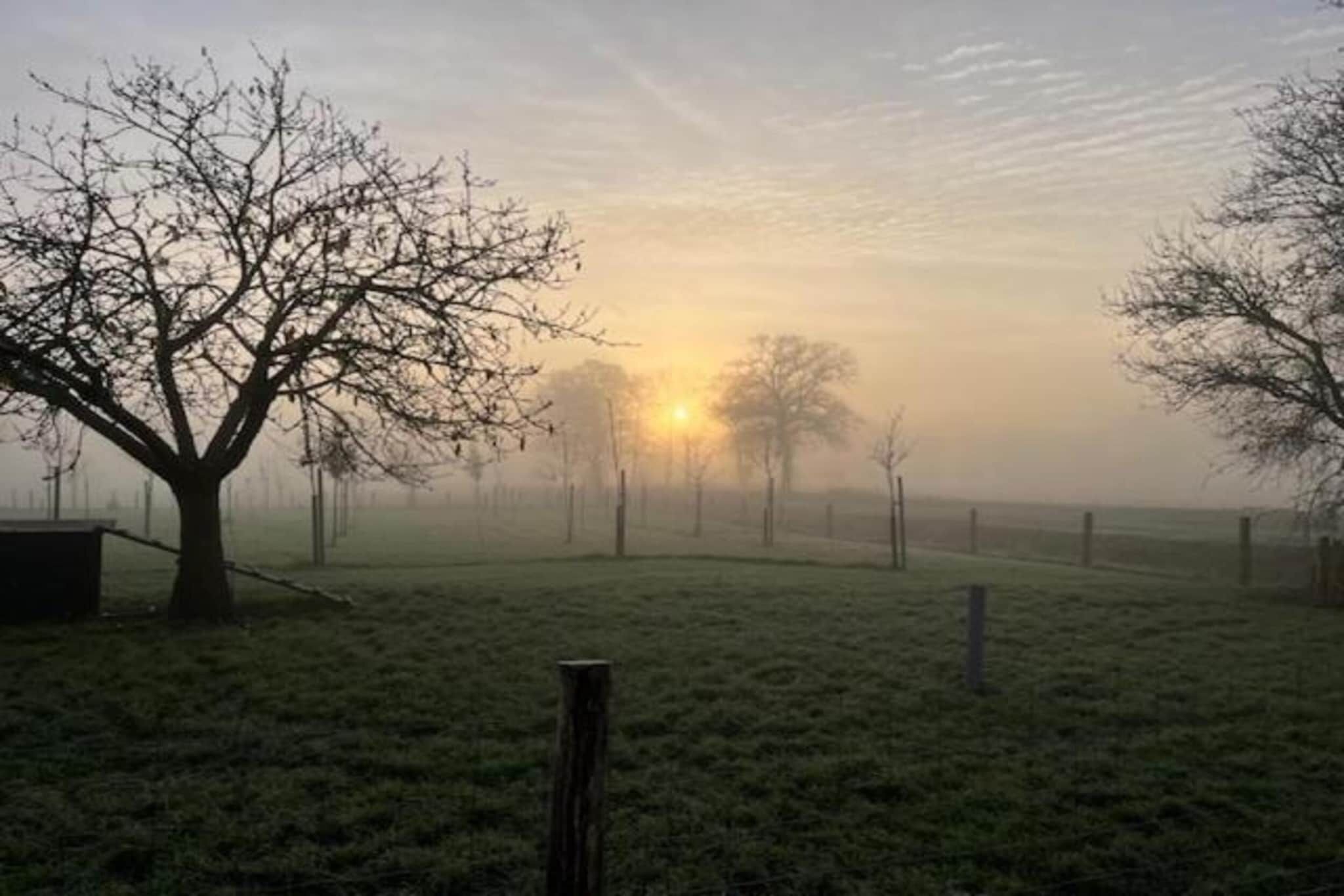 Eine neblige Landschaft mit kahlen Bäumen und einem Zaun.