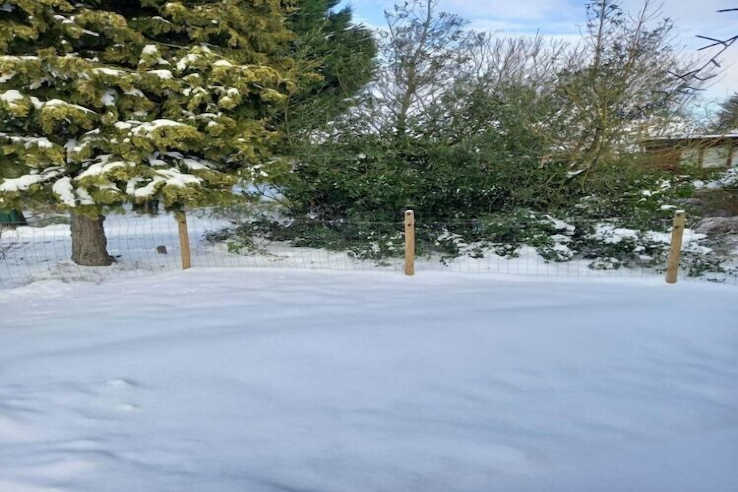 Un espacio exterior cubierto de nieve con una cerca y árboles.