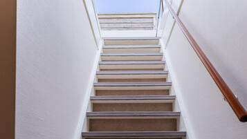 Una escalera con barandilla de madera y tragaluz en la parte superior.