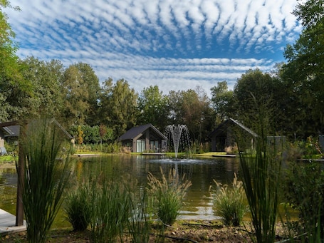 Terrein van de accommodatie. Lodge in Brabant met overdekt terras