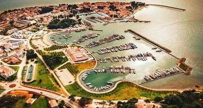 Villa in Novigrad with Private Pool and Beach