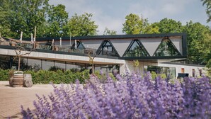 Ein modernes Gebäude mit Glasfassade, Außenbereich mit Sitzgelegenheiten und einem Garten mit violetten Blumen.
