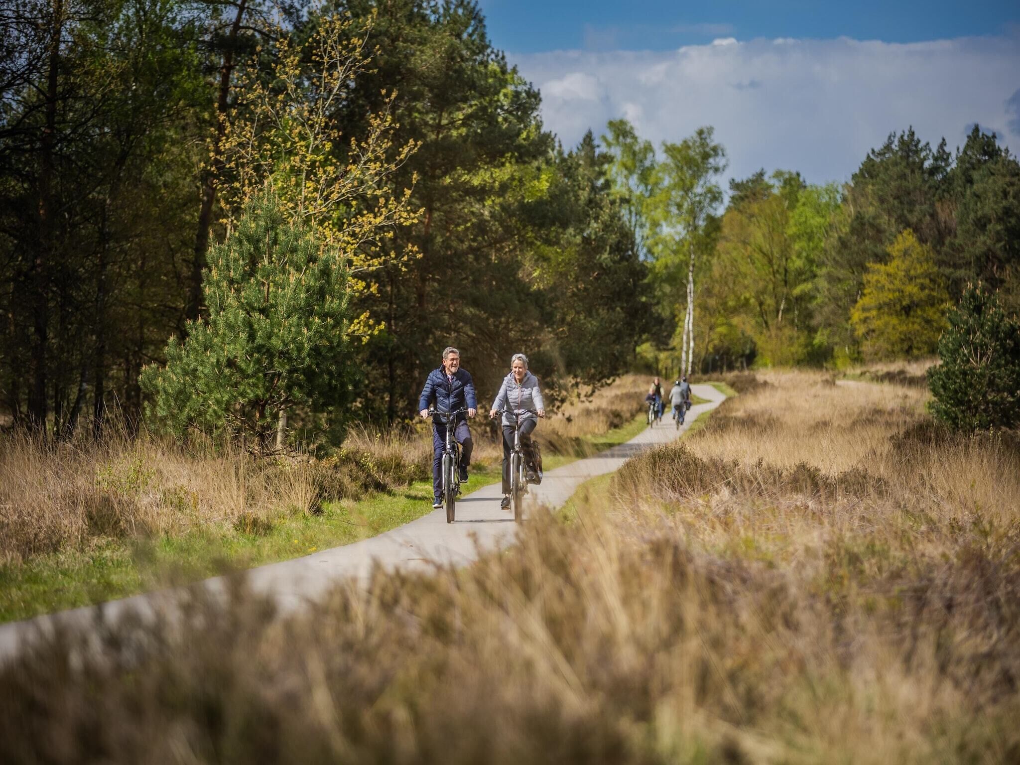 Un chemin pavé, bordé d’arbres et d’herbe, où l’on peut voir des cyclistes.