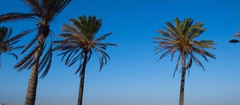 Villa in Valencia mit Pool und Weingut