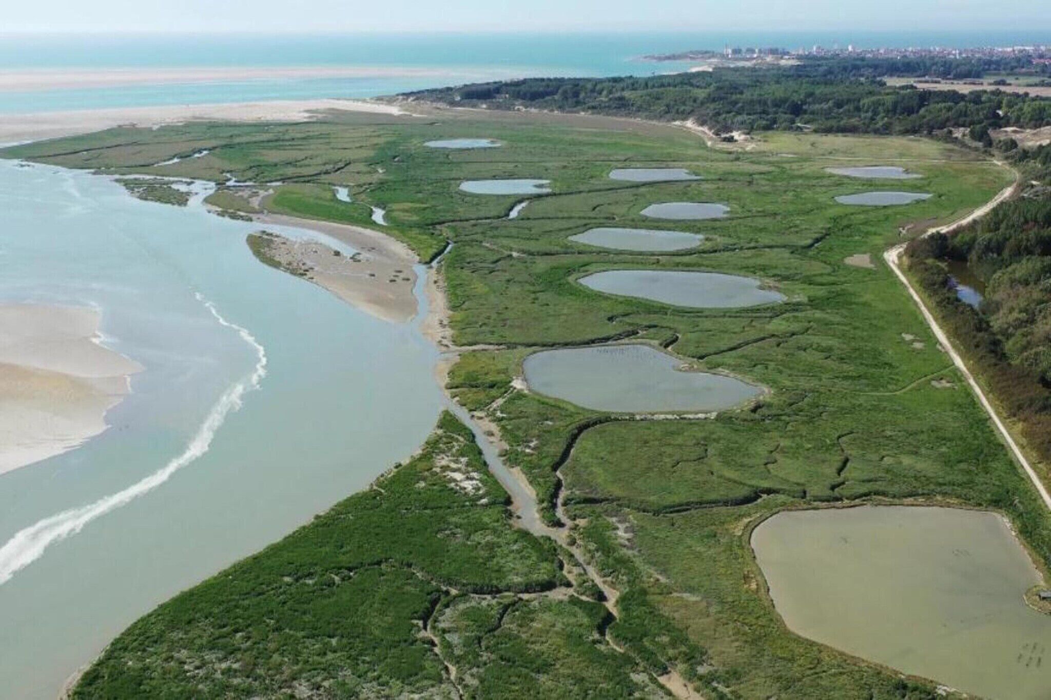 An aerial view of a coastal area with multiple ponds, a beach, and a forested area.
