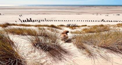 Maison de plage en France prĂšs de la cĂŽte