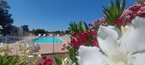Pool - Villa "Santa Giulia" near porto-vecchio in residence with swimming pool (Lecci)