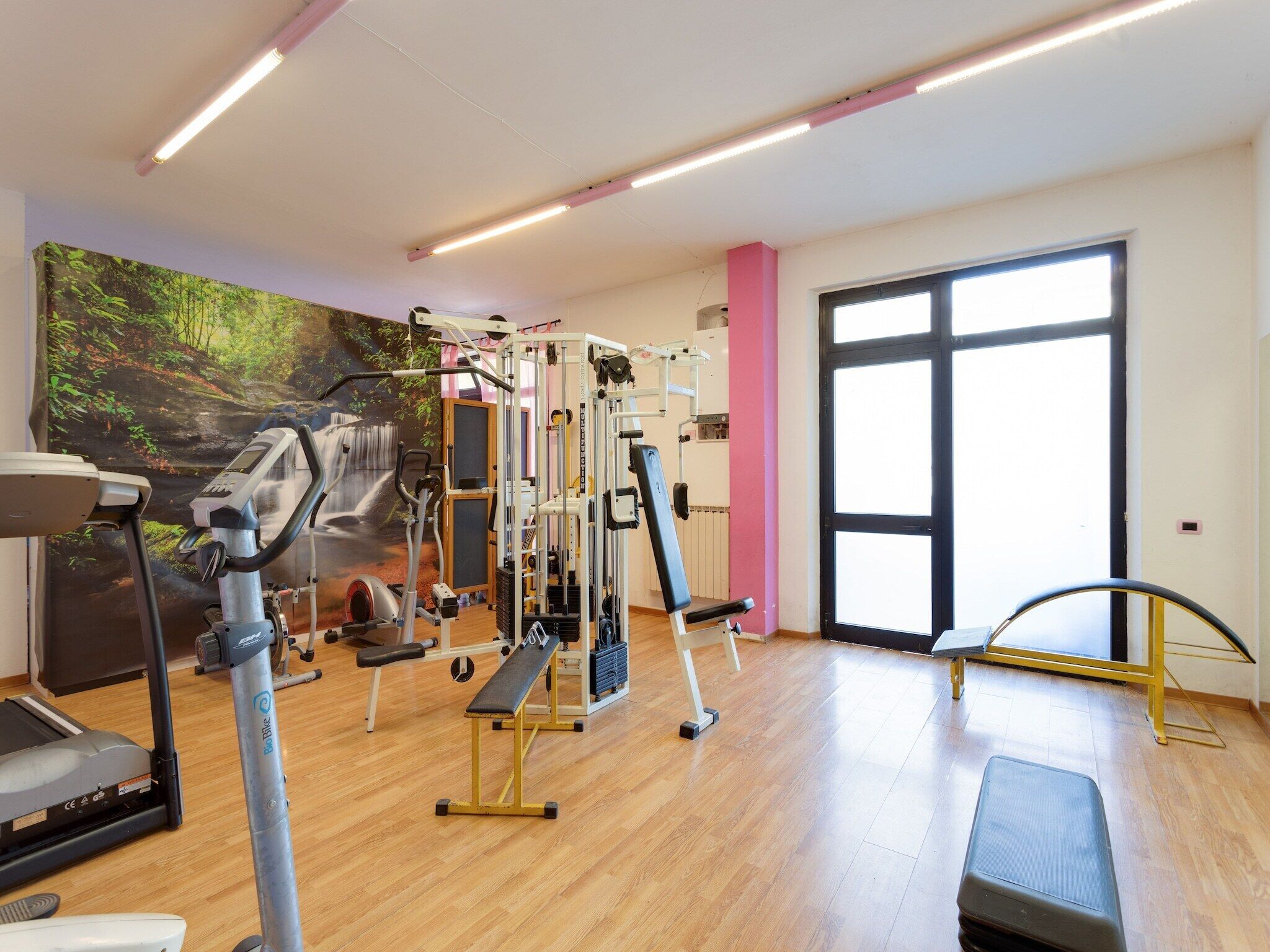 Area fitness