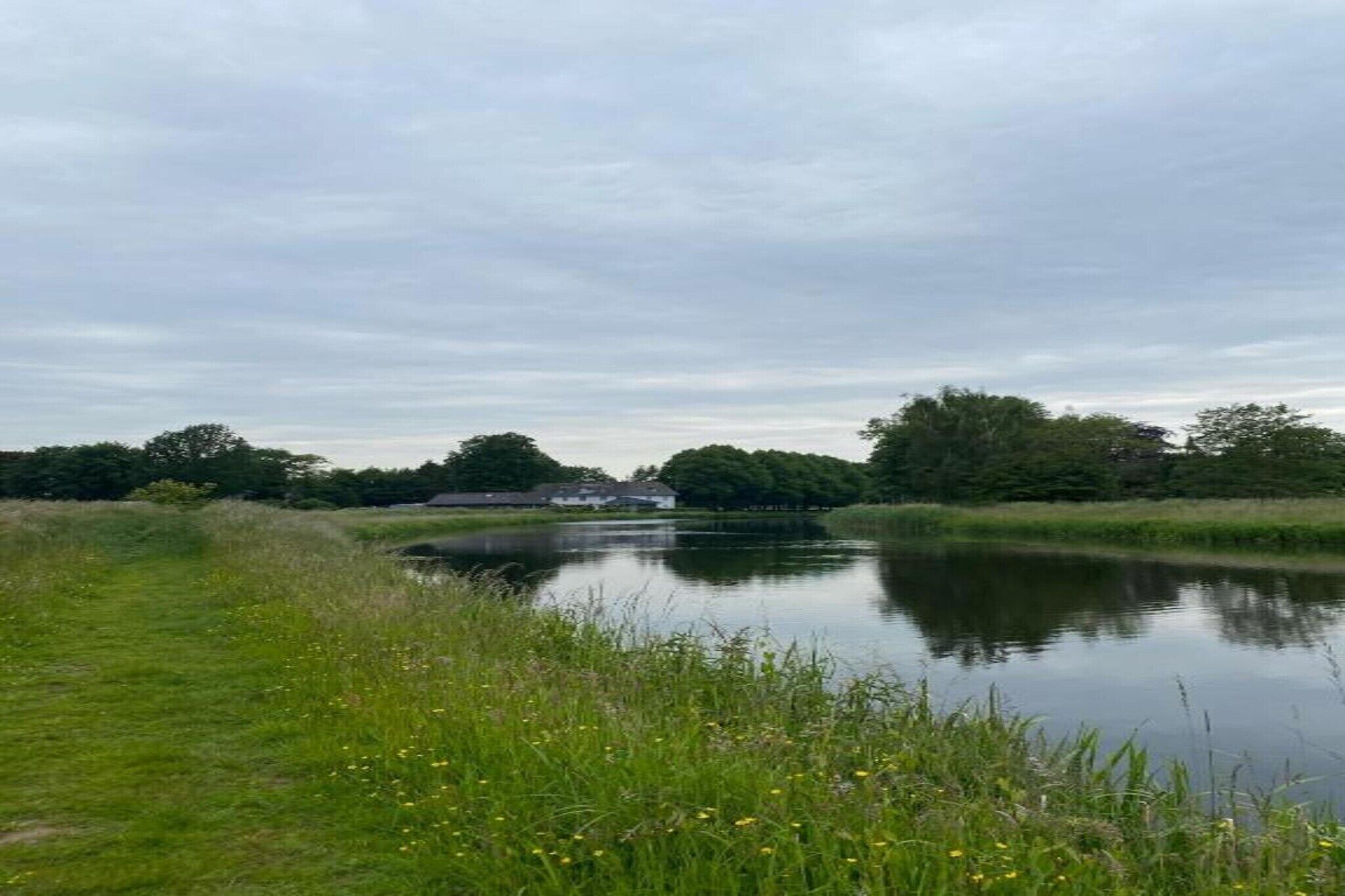 A calm lake with grassy banks and trees in the background.