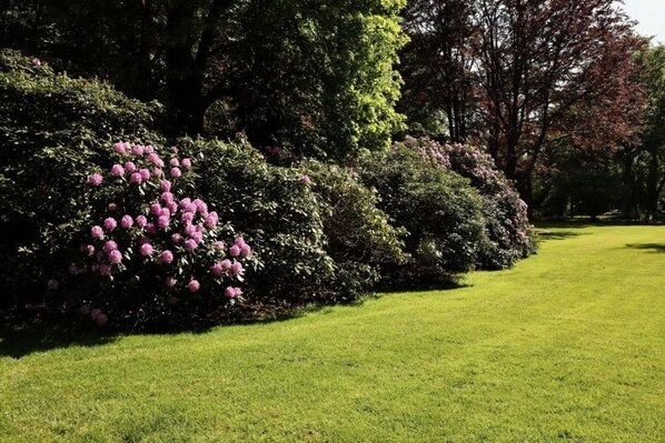 Jardines del alojamiento