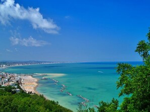 بالقرب من الشاطئ