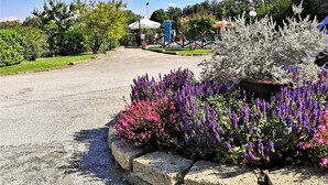 Un área de estacionamiento pavimentada con una fila de flores púrpuras y un arbusto de flores blancas.