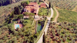 Eine Vogelperspektive zeigt eine Villa mit Garten, Schwimmbad und einem Weinberg im Hintergrund.