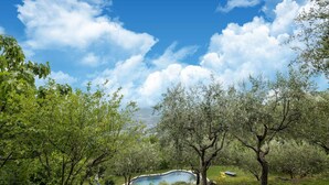 A natural landscape with a swimming pool surrounded by trees and greenery.