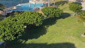 Et resort med pool, palmer og havudsigt.
