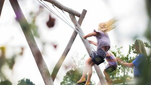 A wooden swing set in an outdoor setting. - Chalet in Nature, Friesland (De Veenhoop)