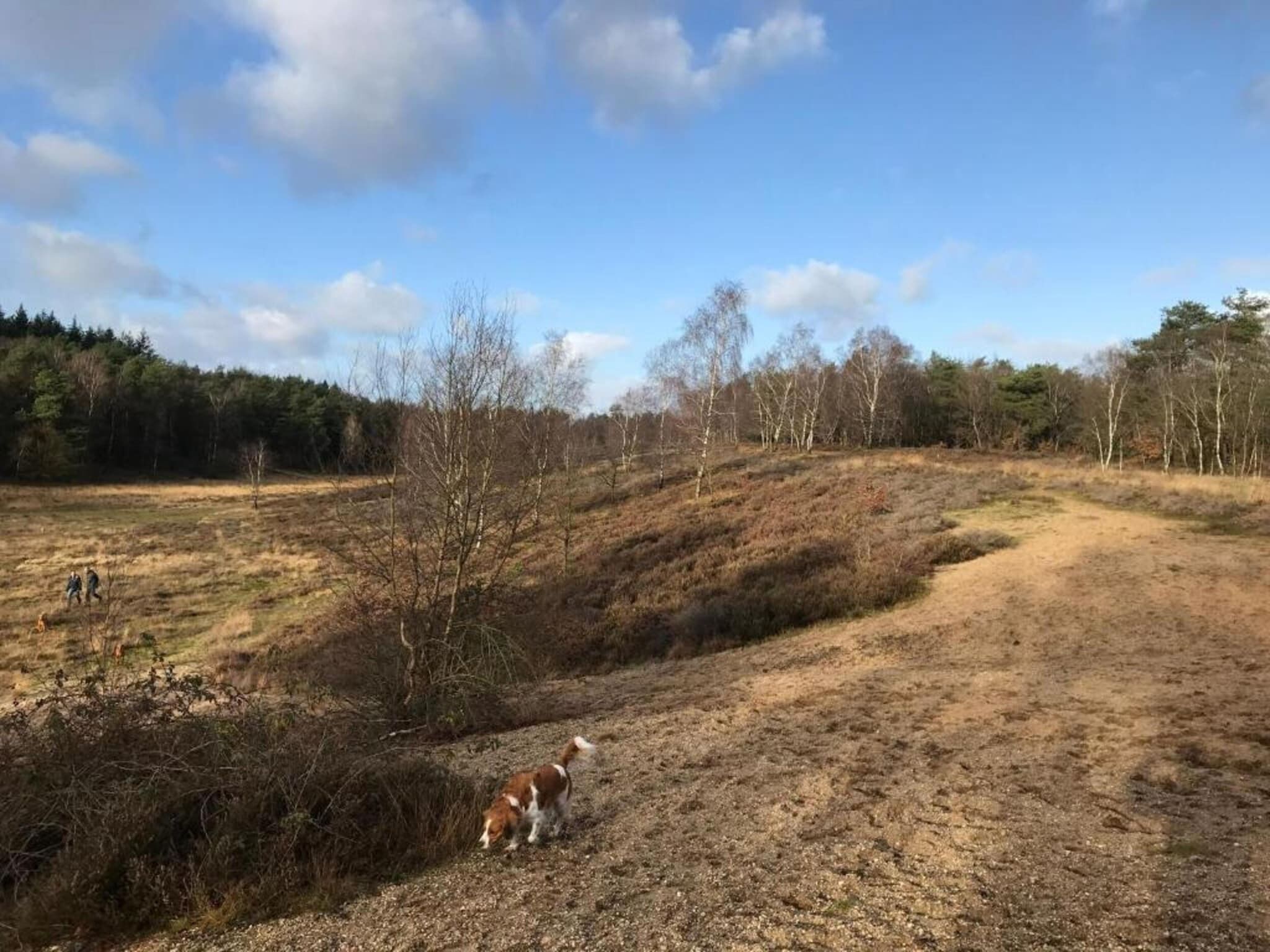 Dans la région [été] (>5 km)