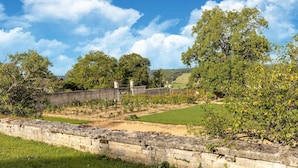 A stone wall, a grassy field, and trees under a clear sky.