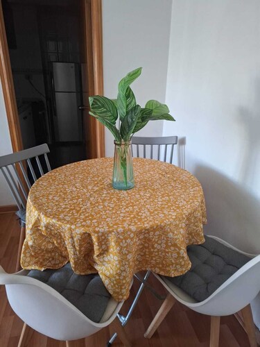 Charming 1-bedroom apartment in delightful Providencia with WiFi