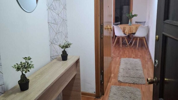 A hallway with a wooden bench, a mirror, and two potted plants.