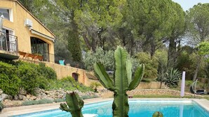 A pool with a cactus in the foreground and a house in the background. - La Joséline  (Flayosc)