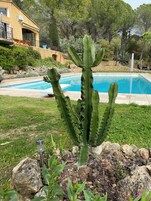 Una piscina al aire libre de temporada