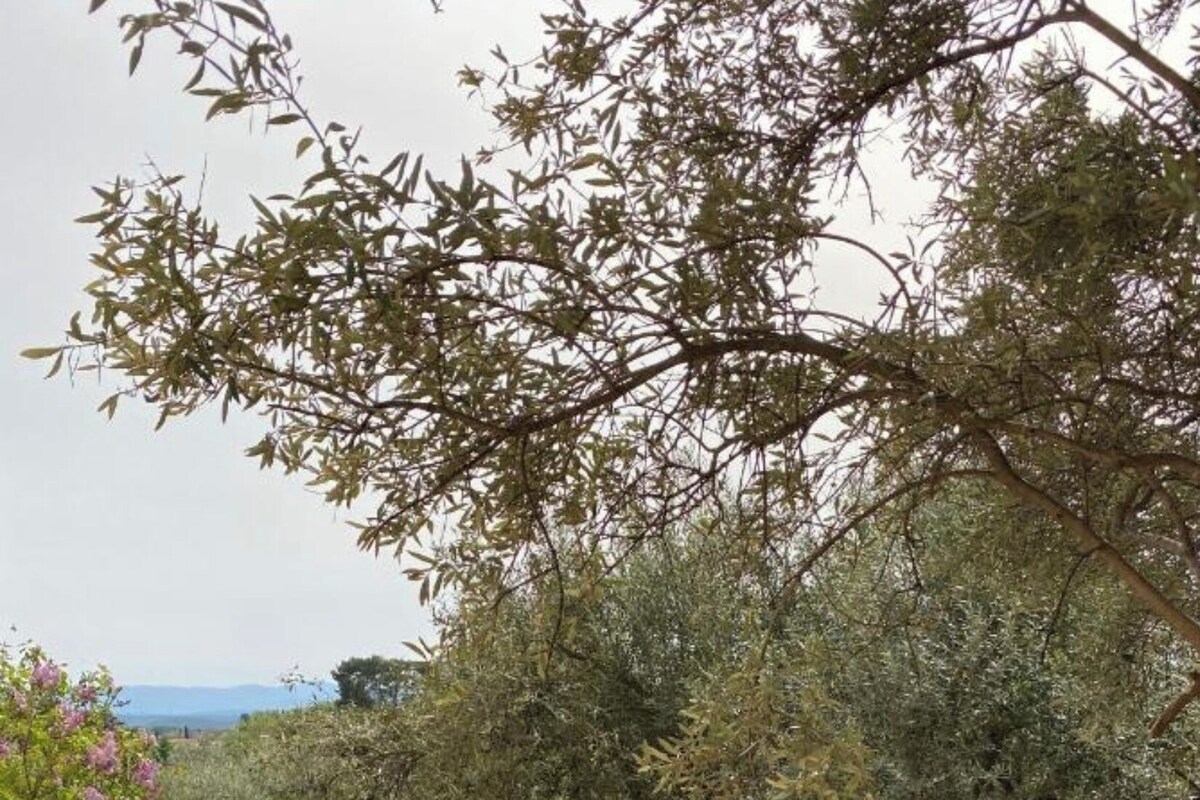 أغطية فراش متميزة وواي فاي مجانًا وبديكورات فريدة لكل غرفة