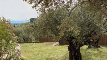 Classic Double Room, Garden View | Premium bedding, individually decorated, individually furnished