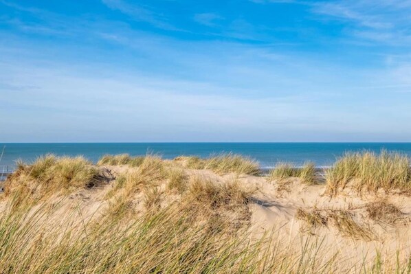 On the beach - Sunny Stay for Four in Koksijde (Koksijde)