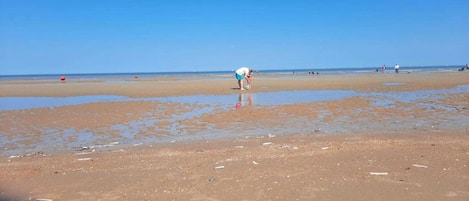 Vlak bij het strand