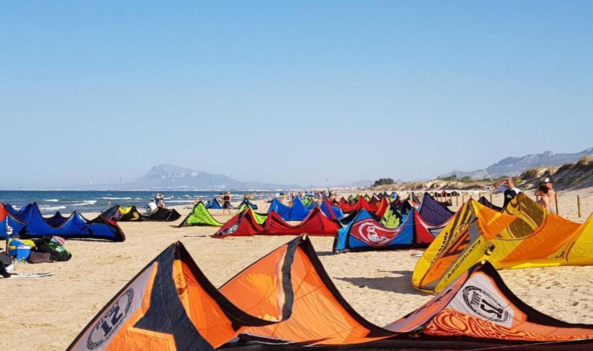 A beach with numerous colorful kites set up on the sand.