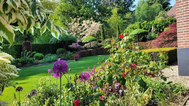Un jardín bien cuidado con diversas plantas y flores, un césped impecable y una pared de ladrillo a la derecha.