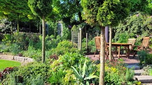 Un jardín con una mesa y sillas de madera, rodeado de plantas diversas y un camino de piedra.