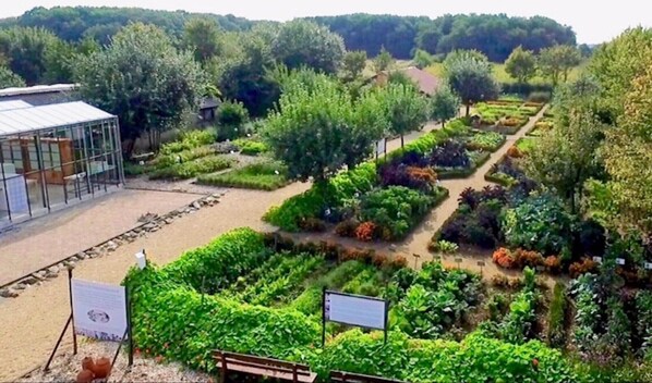 Jardines del alojamiento