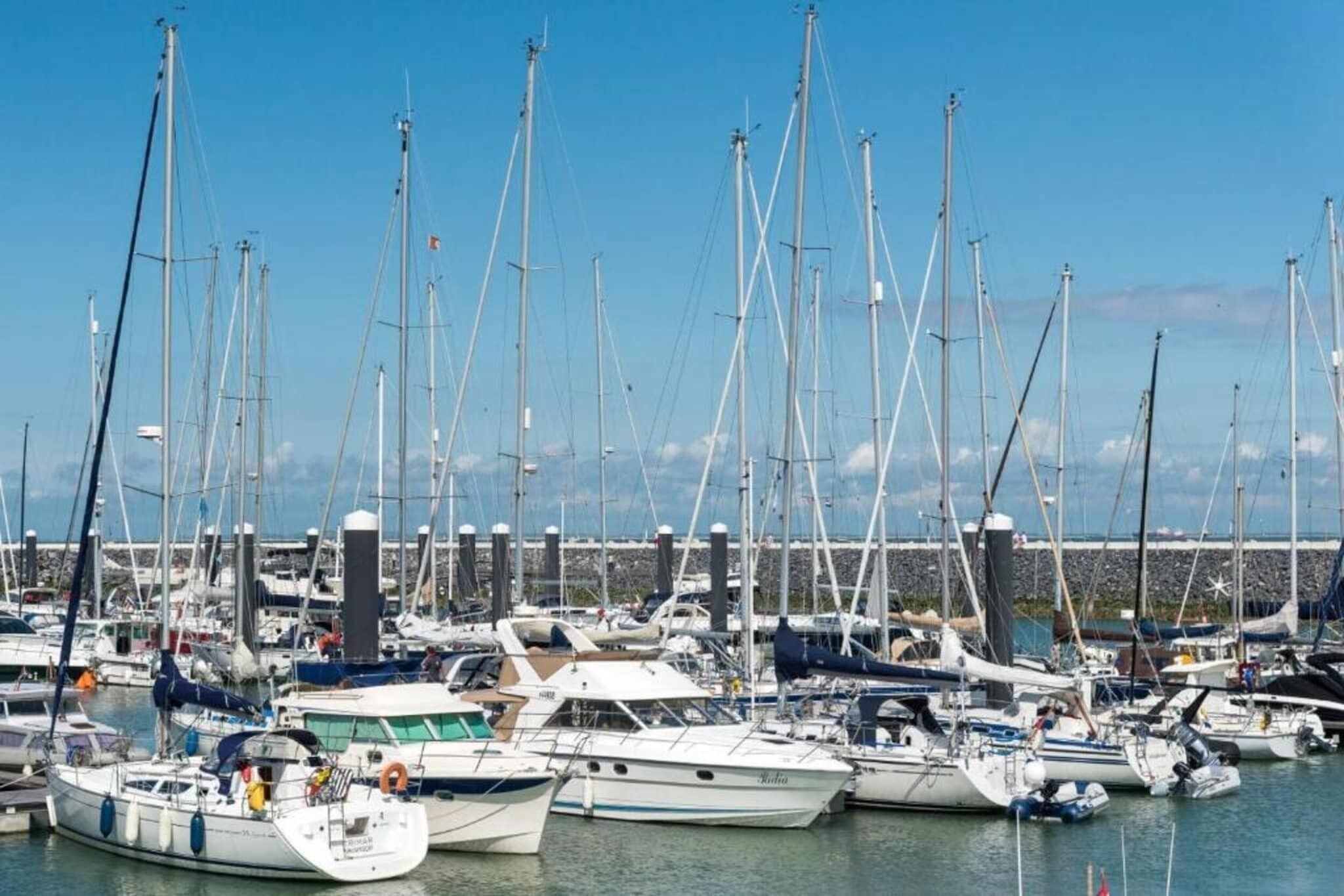 Una marina con numerose barche a vela ormeggiate.
