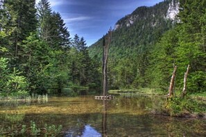 Miscellaneous - Holiday apartment carefree (Inzell)