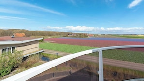 A rural landscape with a building, fields, and a clear sky. - Apartment by the Beach with Stunning Dunes (Julianadorp aan Zee)