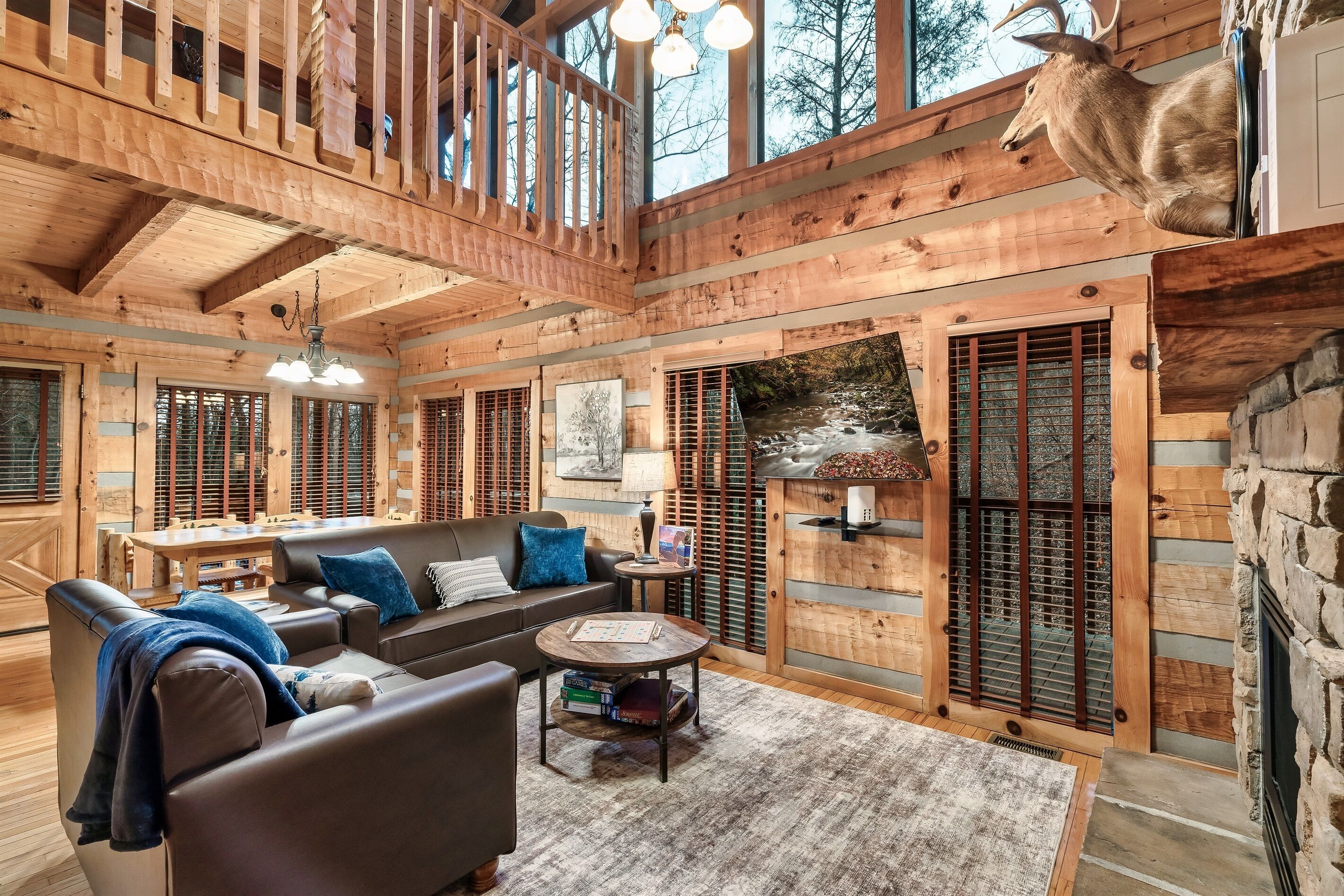 Smart TV, fireplace, video games, books