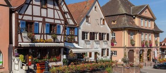 Leilighet i Alsace nær Europa-Park