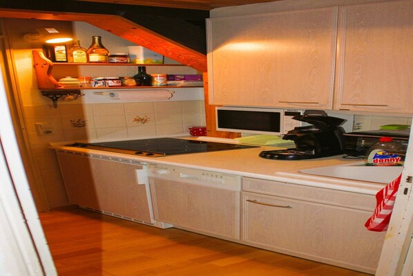 Microwave, oven, stovetop, dishwasher