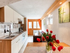 Fridge, oven, stovetop, dishwasher - Apartment in Sankt Gallenkirch near Ski Slopes (Vorarlberg)